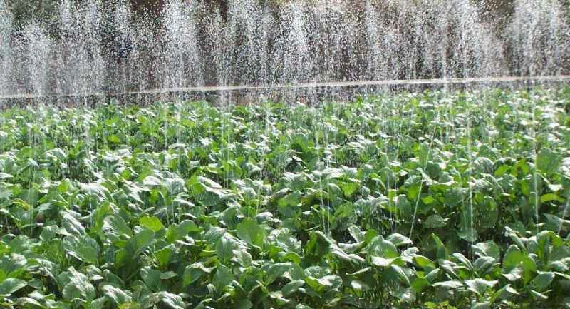 agricultural-micro-rain-pipe
