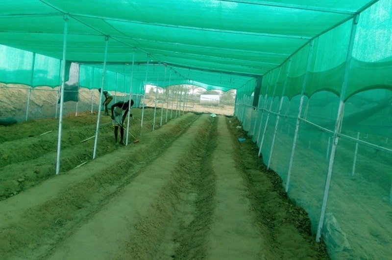 product-800-532 green-sun-shade-net