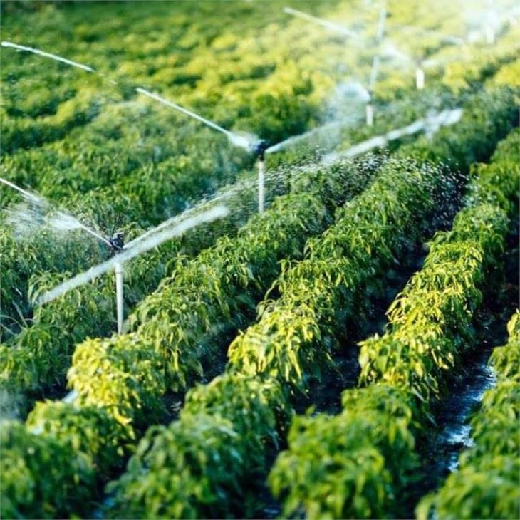 Plastic Impact Sprinklers