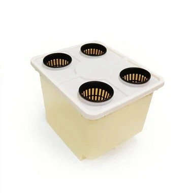 Hollandalı Kova Hidroponik Sistem