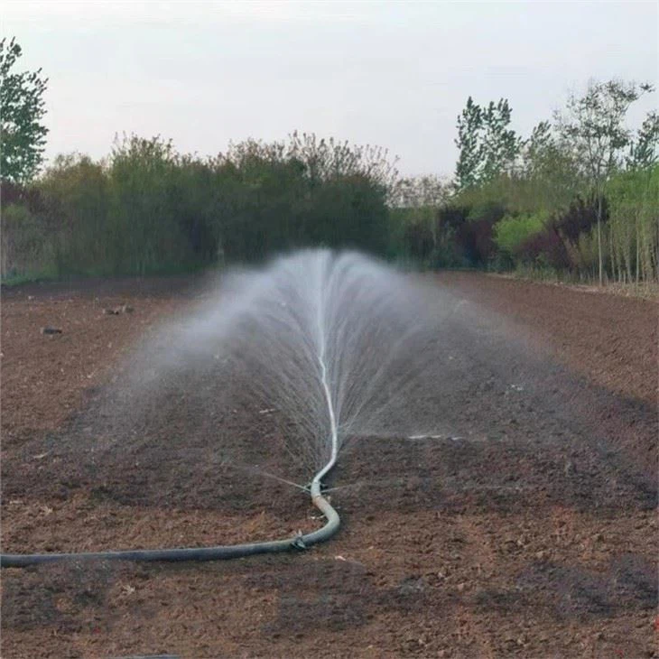 Sprinkler Hose With Holes