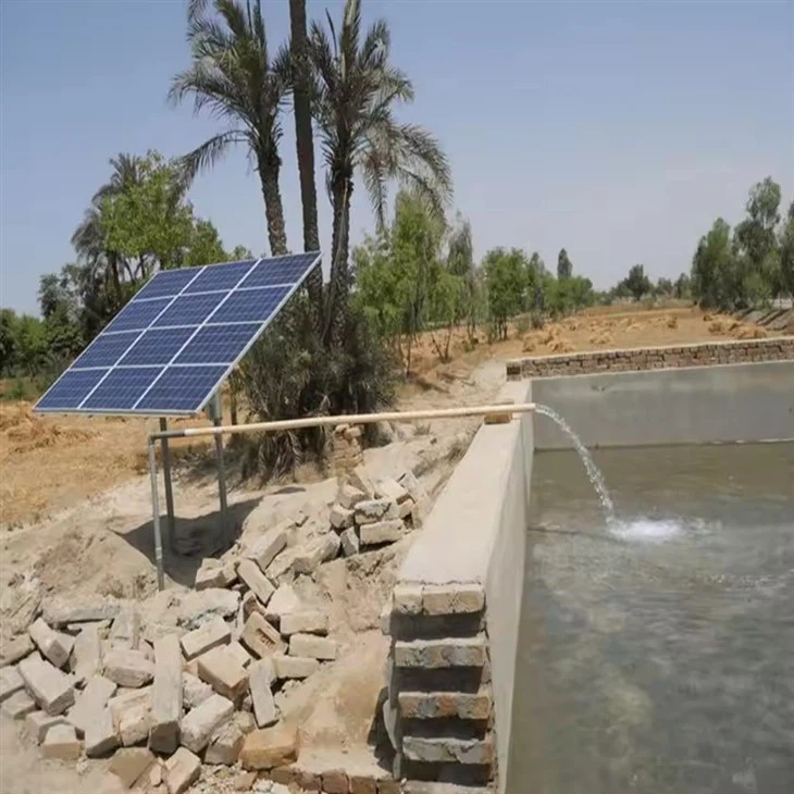 AC/DC Solar-Powered Pump System For 1 Hectare Irrigation