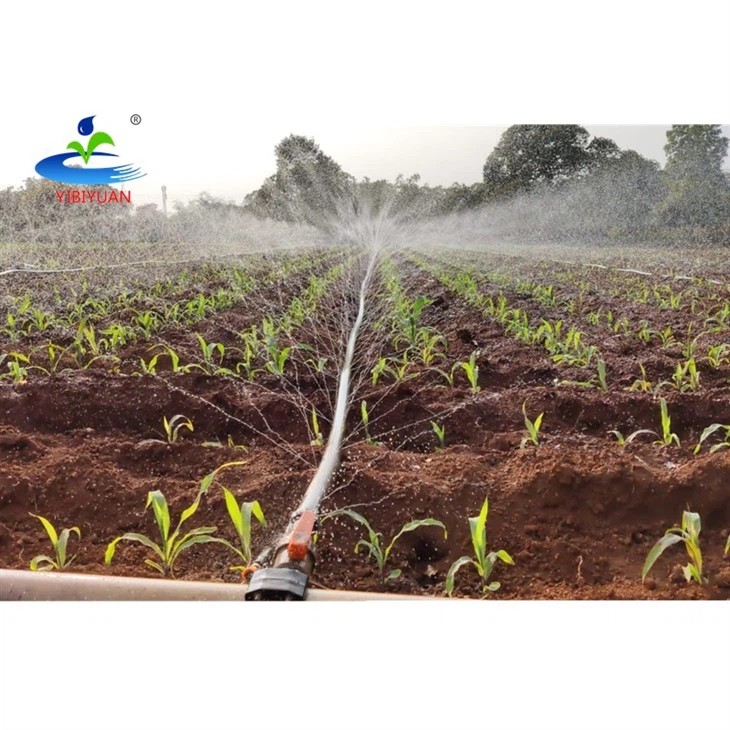 Laser Rain Spray Watering Hose Irrigation Full Kits System