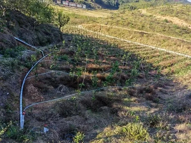 Drip Irrigation System Installation 2 Drip Irrigation System Installation 2